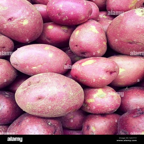 New Potato/नया आलू लाल