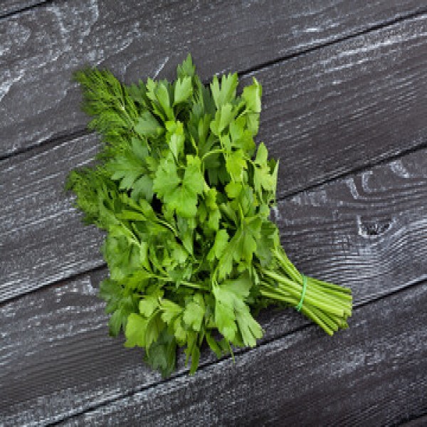 Coriander / Dhaniya / धनिया 