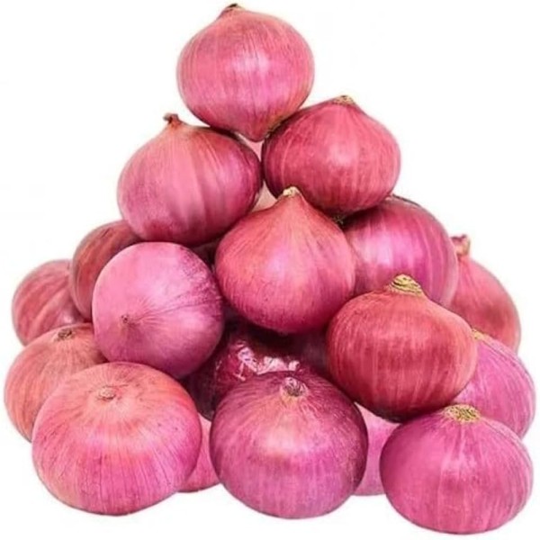onion / Pyaaz / प्याज 
