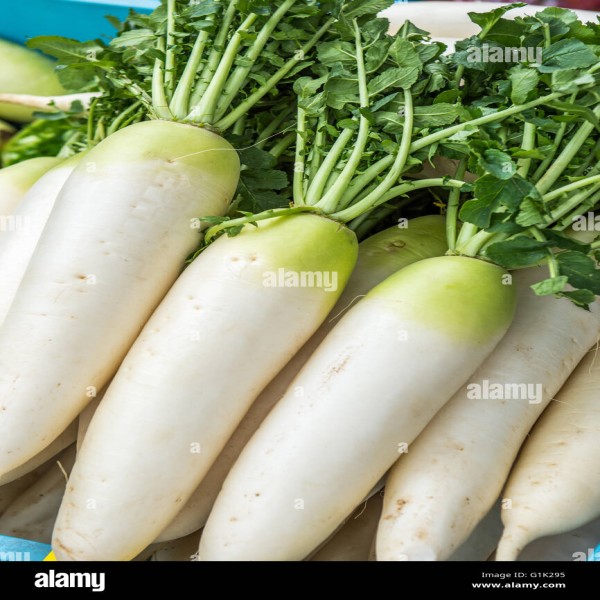 Radish / Muli / मूली 