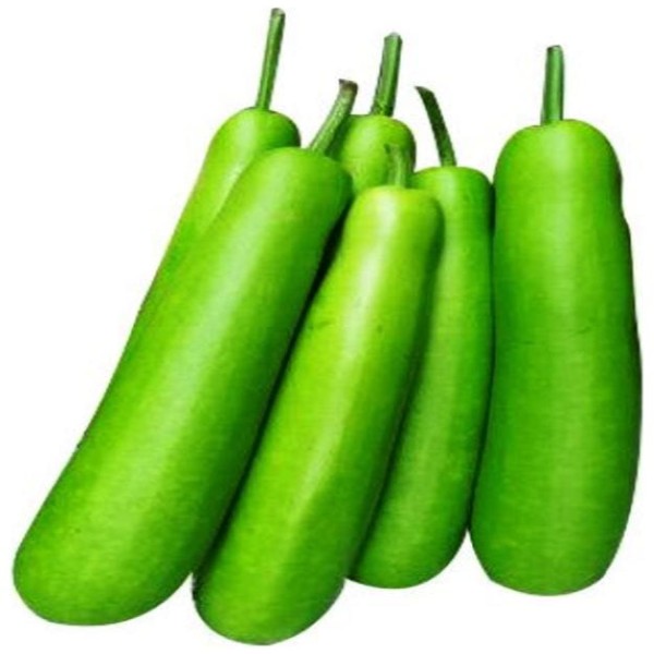 Round Bottle Gourd / Lauki / लौकी 