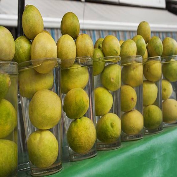 Lemon / Nimbu / नींबू 