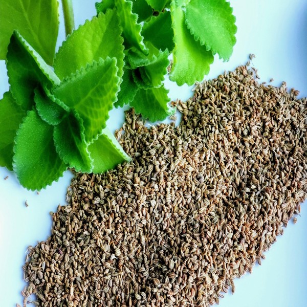 Ajwain