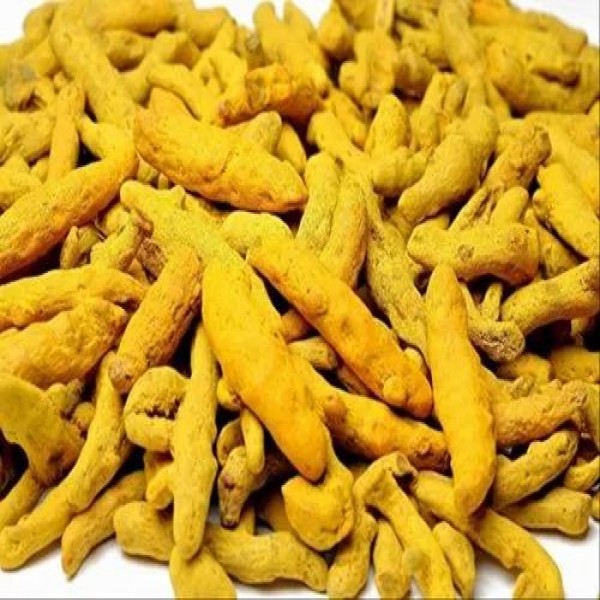 Haldi sabut / खड़ा हल्दी